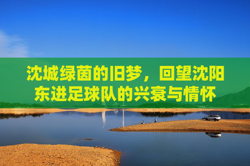 沈城绿茵的旧梦，回望沈阳东进足球队的兴衰与情怀