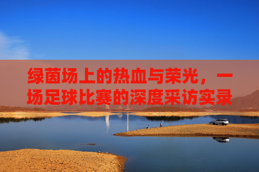 绿茵场上的热血与荣光，一场足球比赛的深度采访实录
