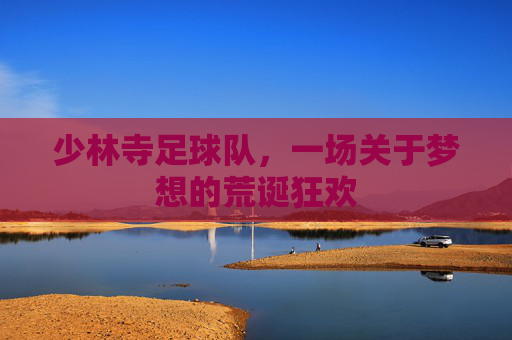 少林寺足球队，一场关于梦想的荒诞狂欢