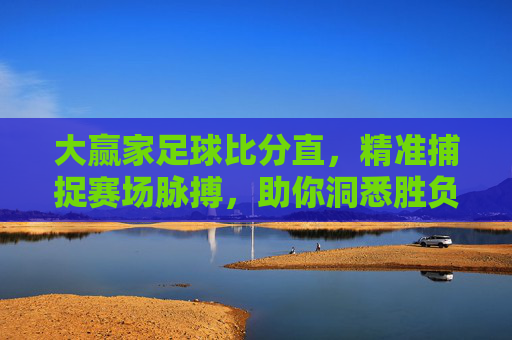 大赢家足球比分直，精准捕捉赛场脉搏，助你洞悉胜负关键