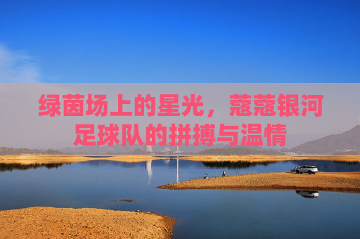 绿茵场上的星光，蔻蔻银河足球队的拼搏与温情