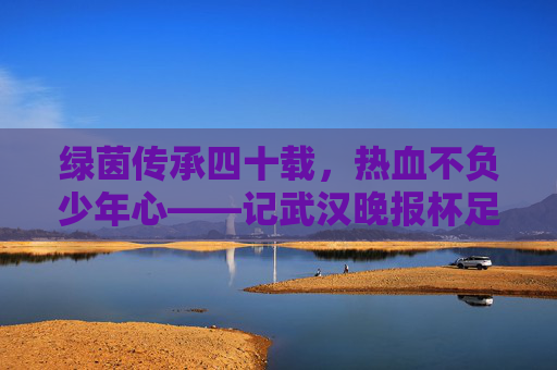 绿茵传承四十载，热血不负少年心——记武汉晚报杯足球赛