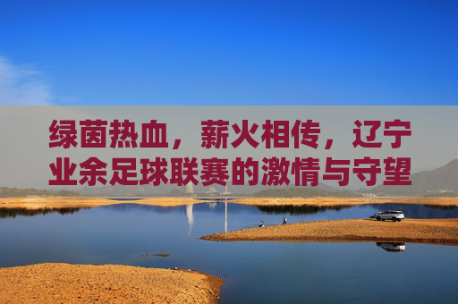 绿茵热血，薪火相传，辽宁业余足球联赛的激情与守望