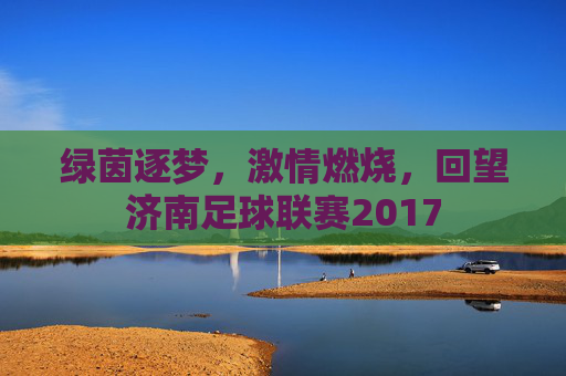绿茵逐梦，激情燃烧，回望济南足球联赛2017