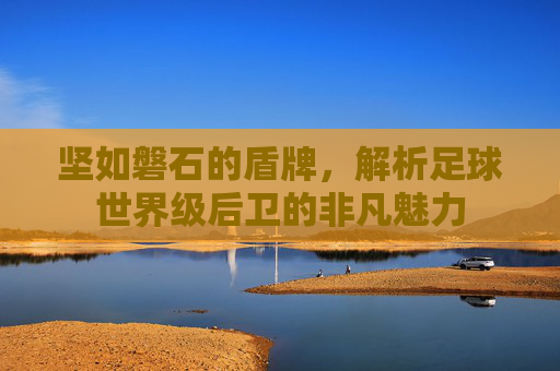 坚如磐石的盾牌，解析足球世界级后卫的非凡魅力