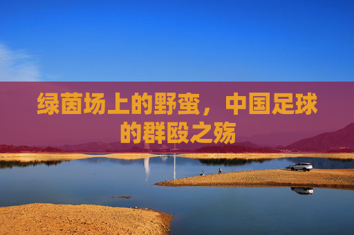 绿茵场上的野蛮，中国足球的群殴之殇