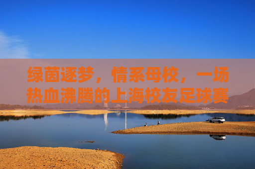 绿茵逐梦，情系母校，一场热血沸腾的上海校友足球赛