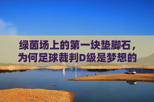 绿茵场上的第一块垫脚石，为何足球裁判D级是梦想的起点