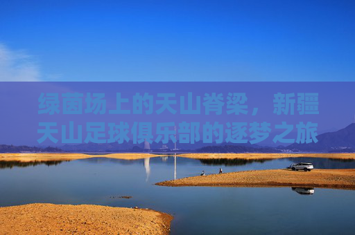 绿茵场上的天山脊梁，新疆天山足球俱乐部的逐梦之旅