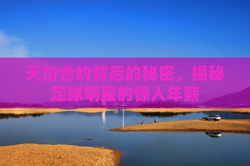 天价合约背后的秘密，揭秘足球明星的惊人年薪