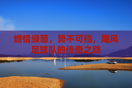燃情绿茵，势不可挡，飓风足球队的传奇之路