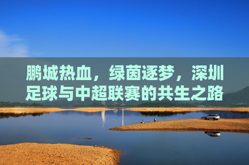鹏城热血，绿茵逐梦，深圳足球与中超联赛的共生之路