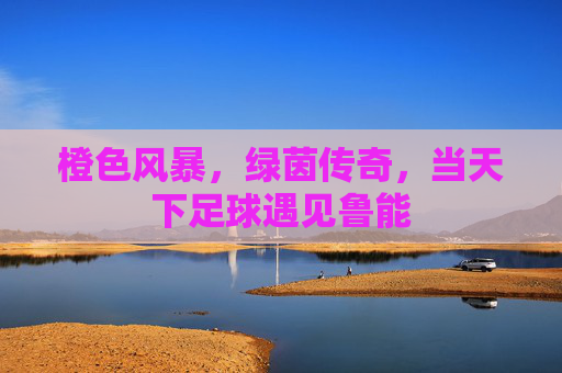 橙色风暴，绿茵传奇，当天下足球遇见鲁能