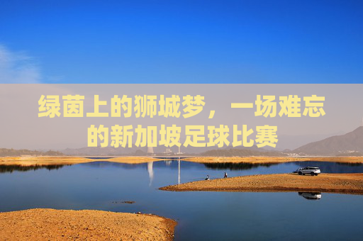 绿茵上的狮城梦，一场难忘的新加坡足球比赛