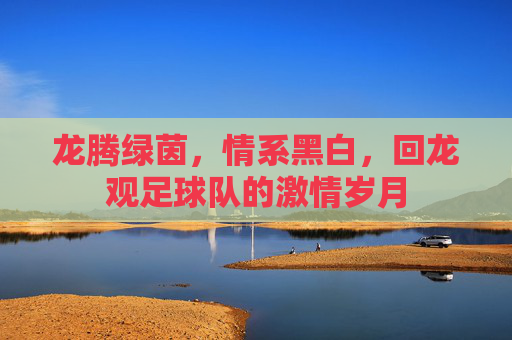 龙腾绿茵，情系黑白，回龙观足球队的激情岁月