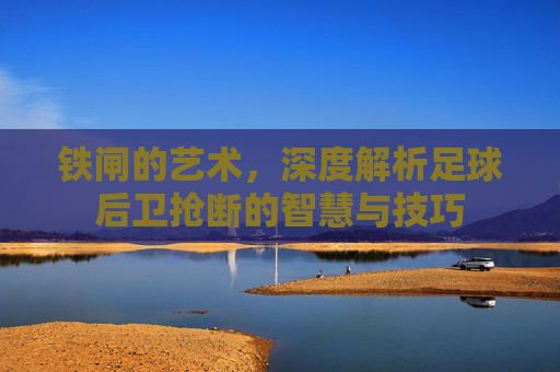 铁闸的艺术，深度解析足球后卫抢断的智慧与技巧