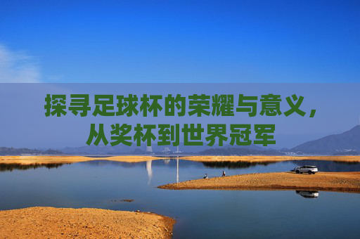 探寻足球杯的荣耀与意义，从奖杯到世界冠军