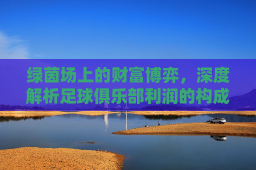 绿茵场上的财富博弈，深度解析足球俱乐部利润的构成与未来