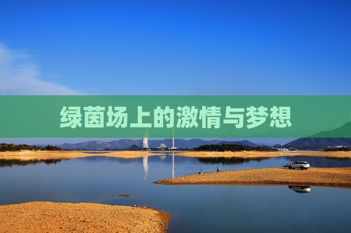 绿茵场上的激情与梦想