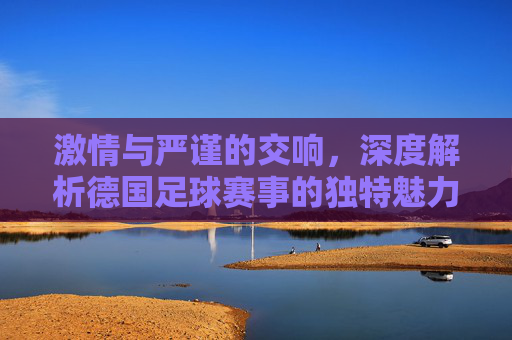 激情与严谨的交响，深度解析德国足球赛事的独特魅力