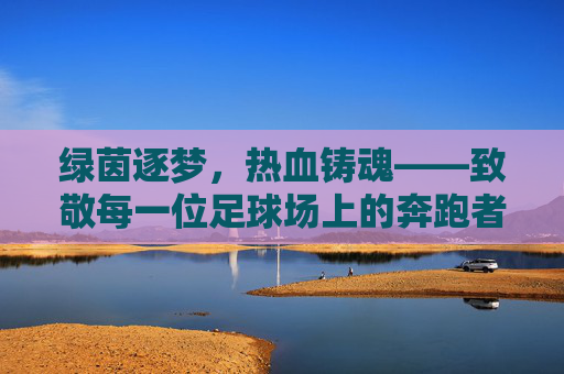 绿茵逐梦，热血铸魂——致敬每一位足球场上的奔跑者