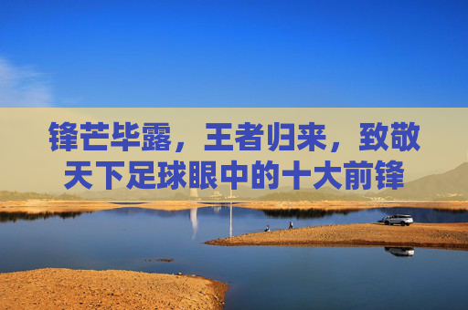 锋芒毕露，王者归来，致敬天下足球眼中的十大前锋