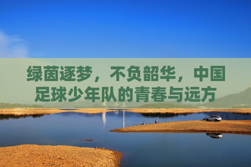 绿茵逐梦，不负韶华，中国足球少年队的青春与远方