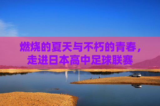 燃烧的夏天与不朽的青春，走进日本高中足球联赛