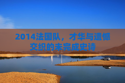 2014法国队，才华与遗憾交织的未完成史诗
