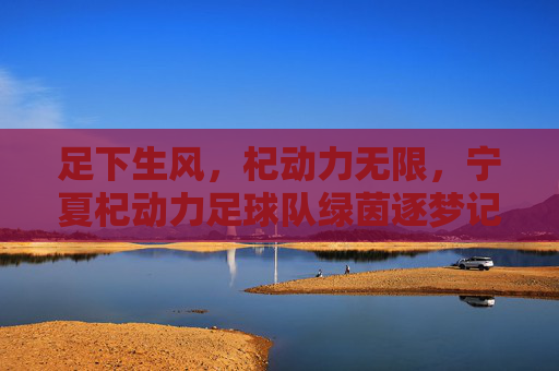 足下生风，杞动力无限，宁夏杞动力足球队绿茵逐梦记