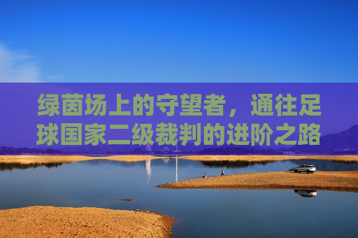 绿茵场上的守望者，通往足球国家二级裁判的进阶之路