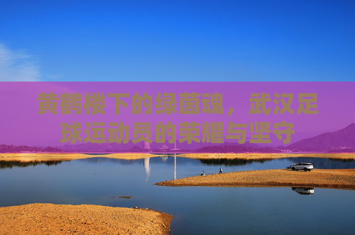 黄鹤楼下的绿茵魂，武汉足球运动员的荣耀与坚守
