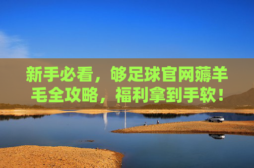 新手必看，够足球官网薅羊毛全攻略，福利拿到手软！