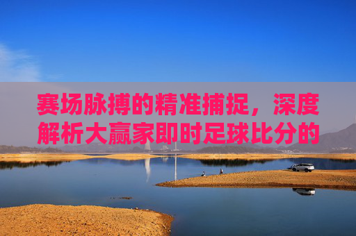 赛场脉搏的精准捕捉，深度解析大赢家即时足球比分的价值