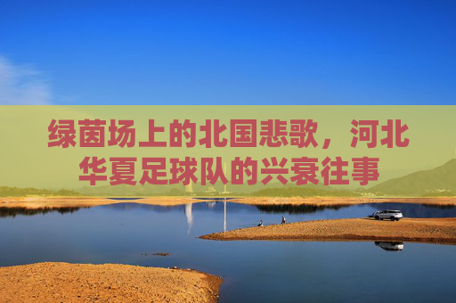 绿茵场上的北国悲歌，河北华夏足球队的兴衰往事