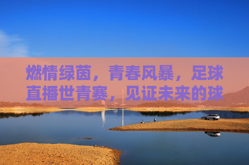 燃情绿茵，青春风暴，足球直播世青赛，见证未来的球王