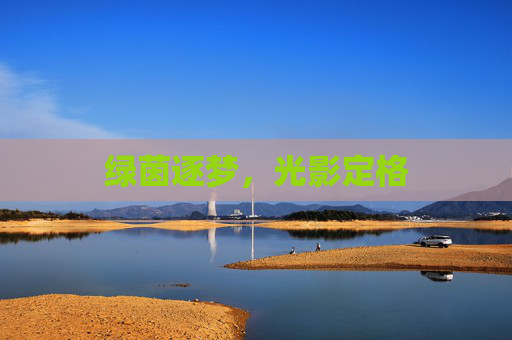 绿茵逐梦，光影定格