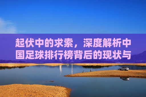 起伏中的求索，深度解析中国足球排行榜背后的现状与未来