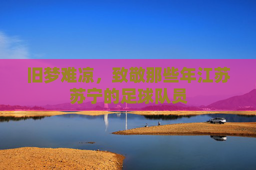 旧梦难凉，致敬那些年江苏苏宁的足球队员