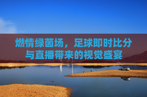燃情绿茵场，足球即时比分与直播带来的视觉盛宴