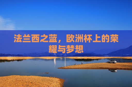 法兰西之蓝，欧洲杯上的荣耀与梦想