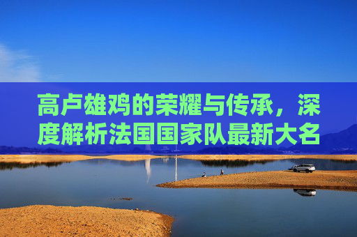 高卢雄鸡的荣耀与传承，深度解析法国国家队最新大名单