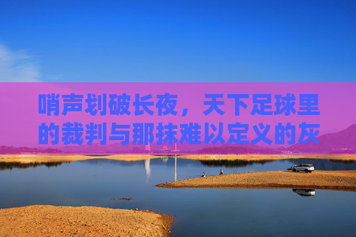 哨声划破长夜，天下足球里的裁判与那抹难以定义的灰色