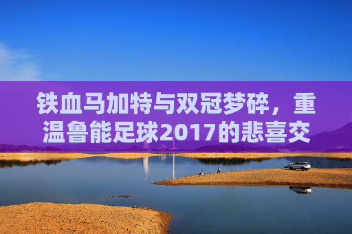 铁血马加特与双冠梦碎，重温鲁能足球2017的悲喜交加