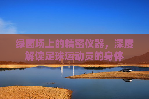 绿茵场上的精密仪器，深度解读足球运动员的身体