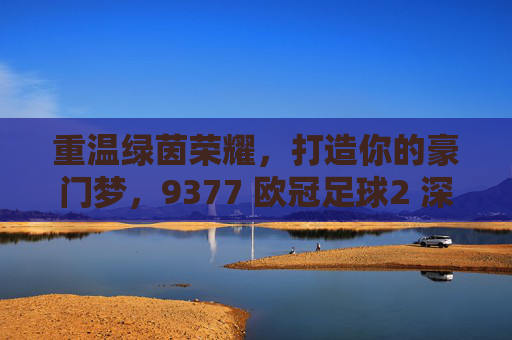 重温绿茵荣耀，打造你的豪门梦，9377 欧冠足球2 深度评测