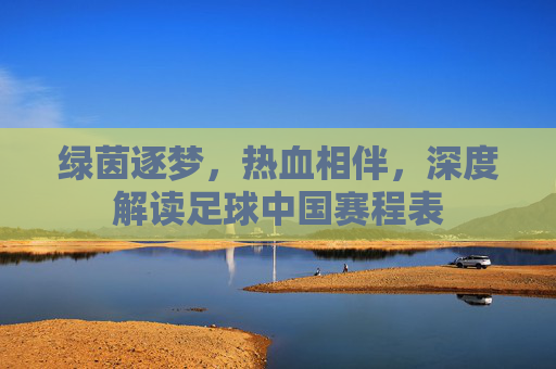 绿茵逐梦，热血相伴，深度解读足球中国赛程表