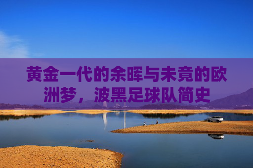 黄金一代的余晖与未竟的欧洲梦，波黑足球队简史
