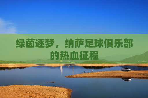 绿茵逐梦，纳萨足球俱乐部的热血征程