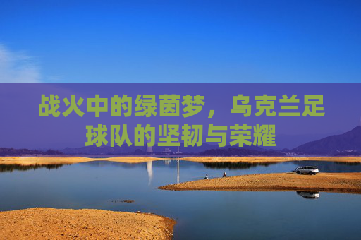 战火中的绿茵梦，乌克兰足球队的坚韧与荣耀